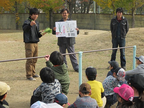 たまねぎ家原２