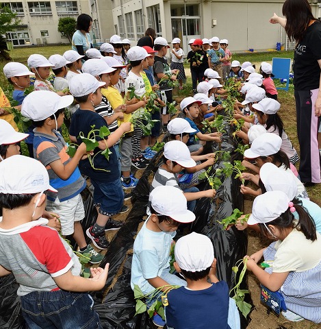 御池台小学校２